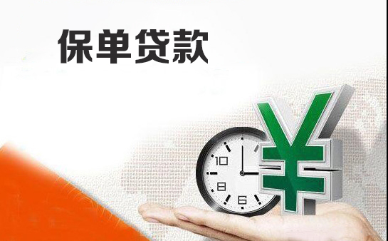 保单贷款 保单贷款